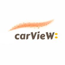 Carview: Electric Car Rental
