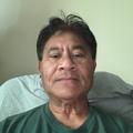 Fautua