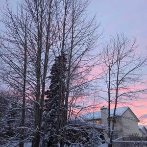 Alaska Car Rentals