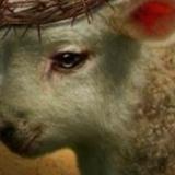 We love Jesus 3.16