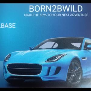 BORN2BWILD