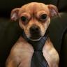 Ryan
