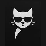 Catcar Inc