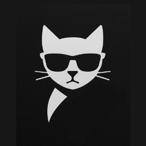 Catcar Inc