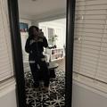 Erica