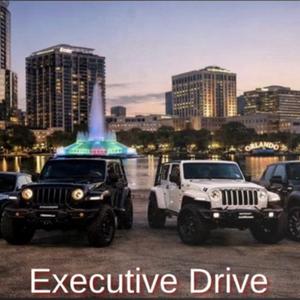 Executive Drive Rentals