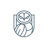 Wise Solutions LLC