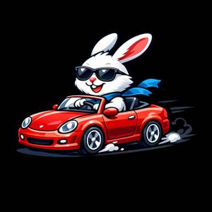 Jackirabbit Solutions LLC