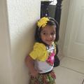 alaa