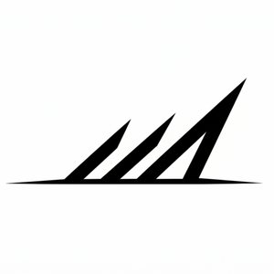 Momentum Rentals