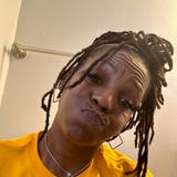 Breshia
