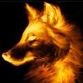 FireFox 1.