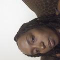 Holly