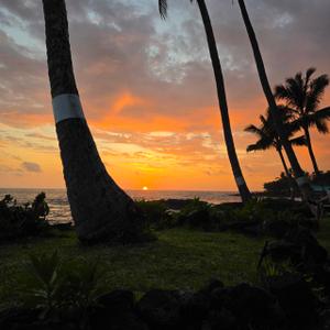 Jolani Kohala
