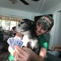 Kody