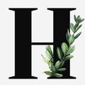hajer