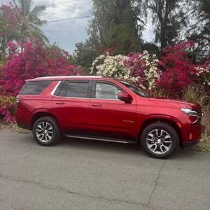 Lynn