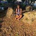 Dasia