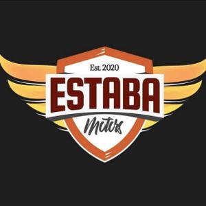 Estaba Rentals LLC