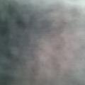 Yasmin B.