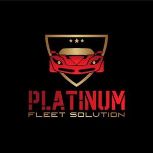 PLATINUM FLEET SOLUTION