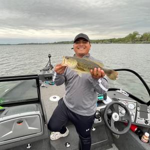 Elmer