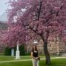 Annelaurie