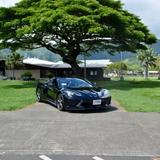 Island Luxe Rentals