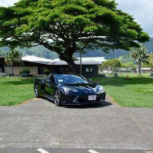Island Luxe Rentals