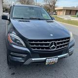 AmbassadorsTS LLC