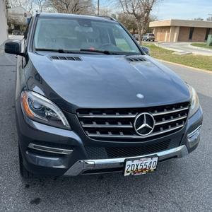 AmbassadorsTS LLC