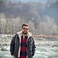 Harman D.