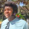 Verdrick