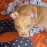Wanda