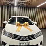 Car Renting Company