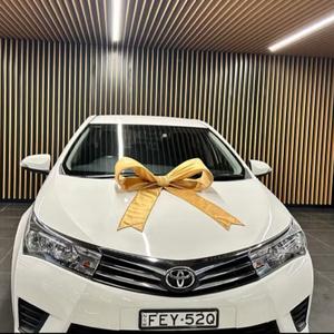 Car Renting Company