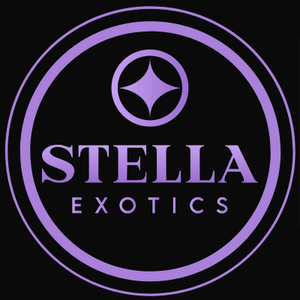 Stella Exotics