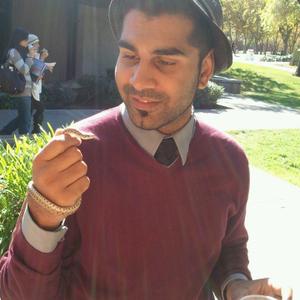 Taahir