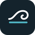 DriveWave Rentals