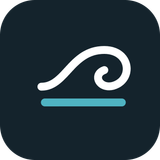 DriveWave Rentals