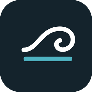 DriveWave Rentals