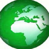 Greene Planet Exotics