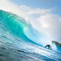 Timothy