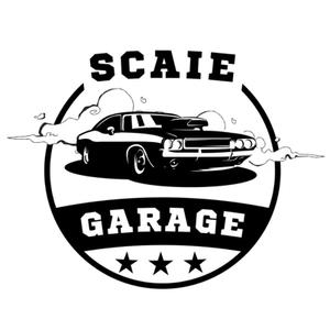 Scaie Cars