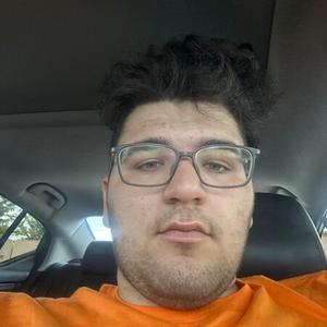 Dov car rental llc