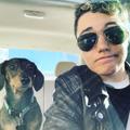 Brody