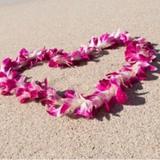 Carwow of Maui LLC