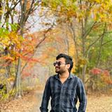 Vamsi