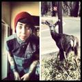 Chauntae