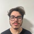 dylan